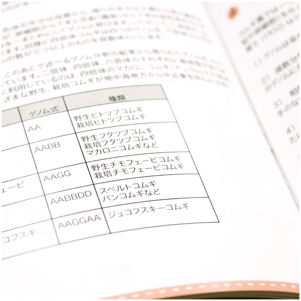 b7Х륭ʸѻ