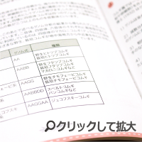 b7バルキーの写真