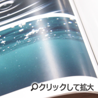 コート紙の写真